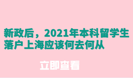 新政后，2021年本科留学生落户上海应该何去何从