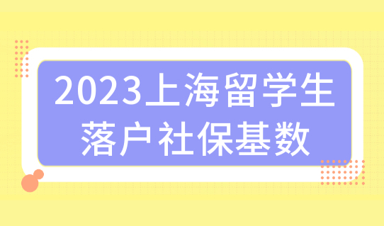 2023上海留学生落户社保基数缴纳，最新放宽更省钱了！