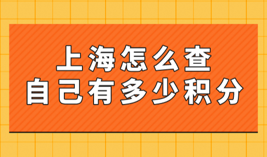 上海怎么查自己有多少积分？2023年个人居住证积分查询入口！