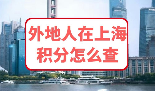 外地人在上海积分怎么查