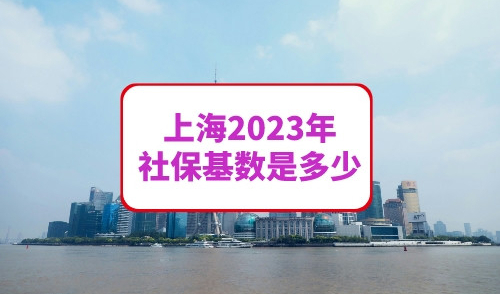 上海2023年社保基数是多少