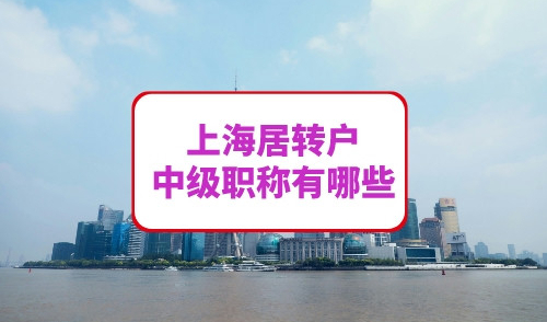 上海居转户中级职称有哪些
