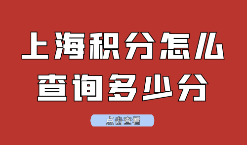 上海积分怎么查询多少分