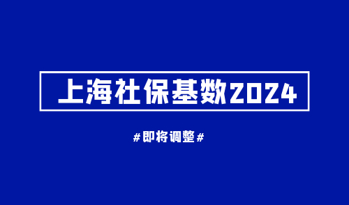 上海社保基数2024
