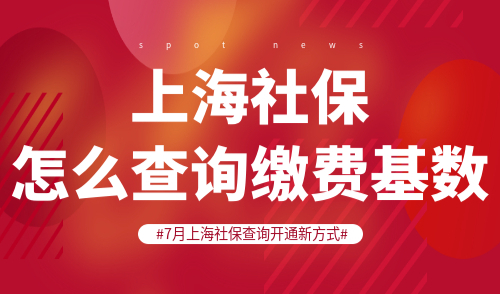 上海社保怎么查询缴费基数