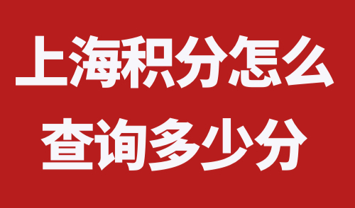 上海积分怎么查询多少分