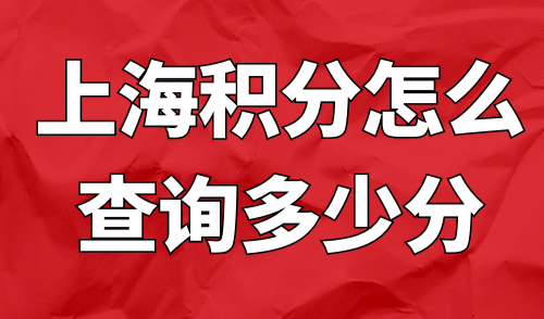 上海积分怎么查询多少分