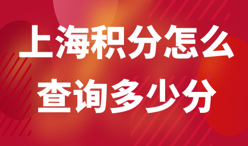上海积分怎么查询多少分