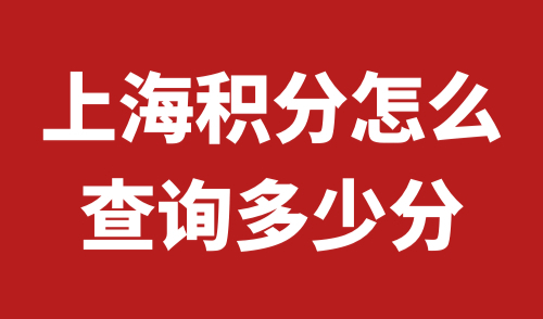 上海积分怎么查询多少分