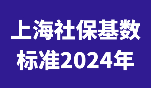 上海社保基数标准2024年