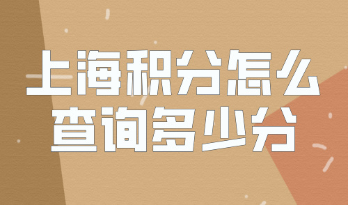 2024上海积分怎么查询多少分？5项指标每个都可加120分