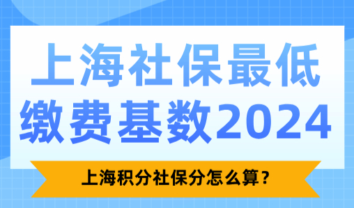 上海社保最低缴费基数2024，上海积分社保分怎么算？