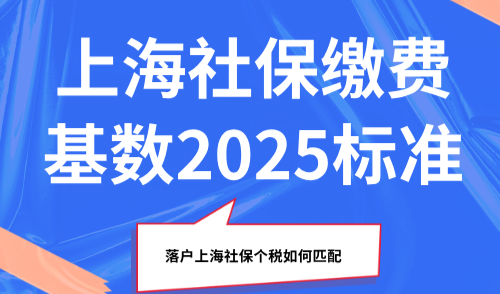上海社保缴费基数2025标准，落户上海社保个税如何匹配？
