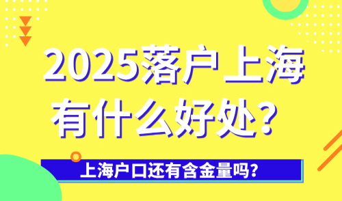 2025上海积分社保分怎么算？附最新社保基数对照表