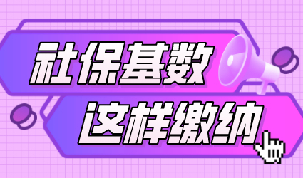 社保基数作为人才中心重审核重点，落户上海社保需要注意这些