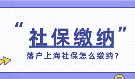 落户上海人社局官方回复：市场化标准应该怎么缴纳？