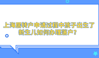 上海居转户申请过程中孩子出生了！新生儿如何办理落户？
