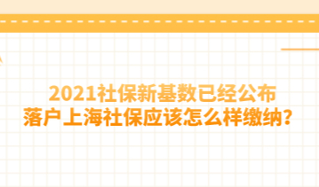 2021社保新基数已经公布，落户上海社保应该怎么样缴纳？