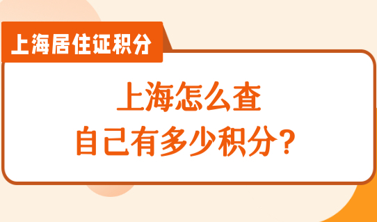 上海怎么查自己有多少积分？积分办理新规标准细则